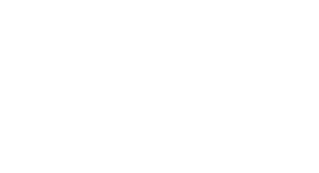 Logo OPA group - blanc